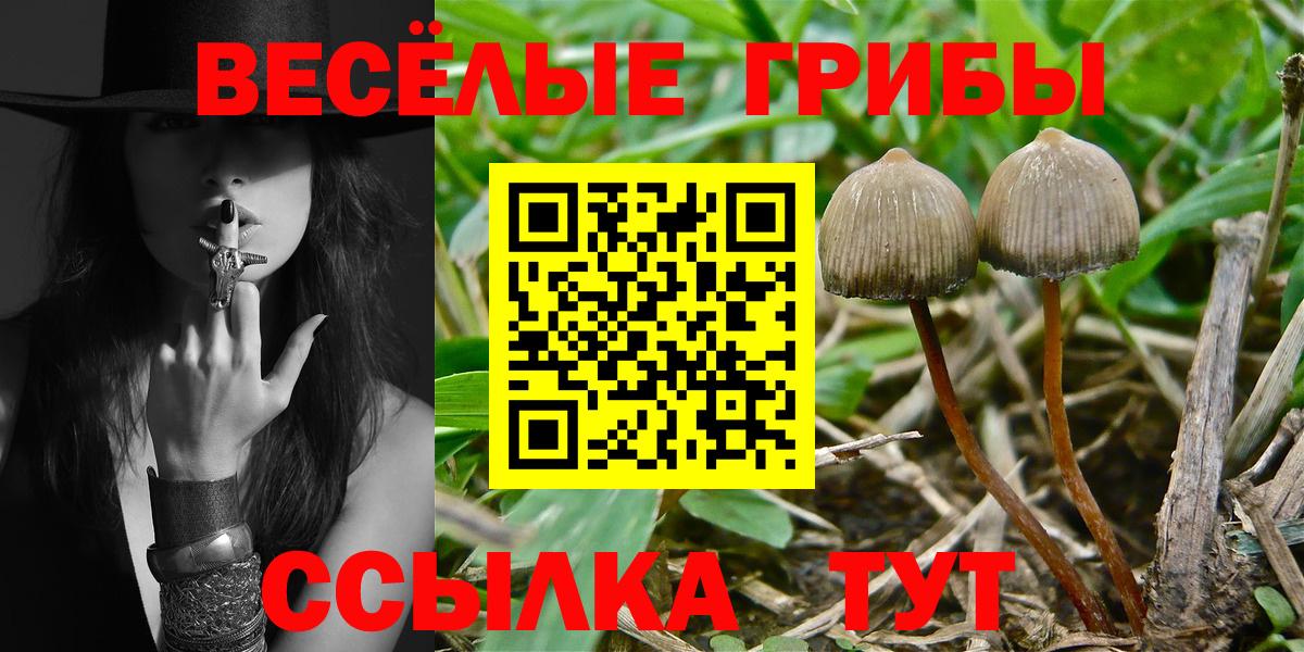 Каспийск  Галлюциногенные грибы Psilocybe  Вход с VPN 