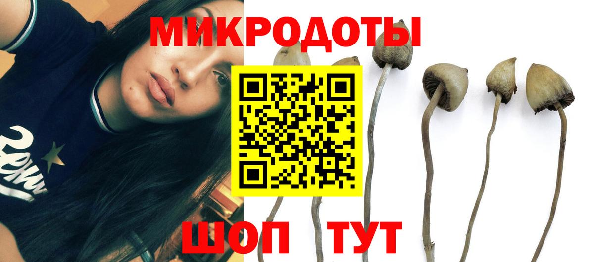 Псилоцибиновые грибы GOLDEN TEACHER Каспийск